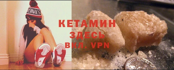 соль ск Новозыбков
