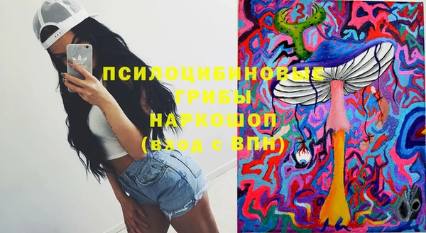 соль ск Новозыбков