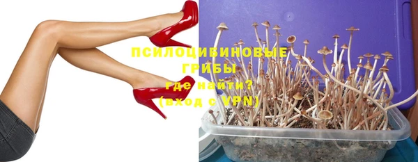 соль ск Новозыбков