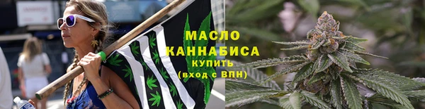 шишки Нязепетровск