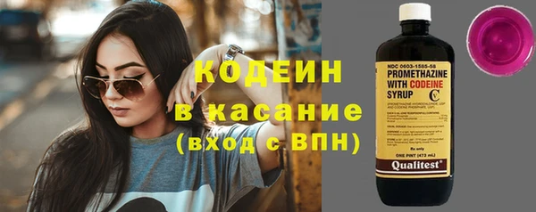 соль ск Новозыбков
