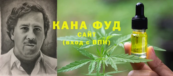 соль ск Новозыбков
