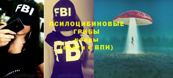 соль ск Новозыбков