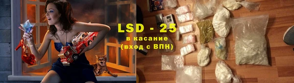 соль ск Новозыбков