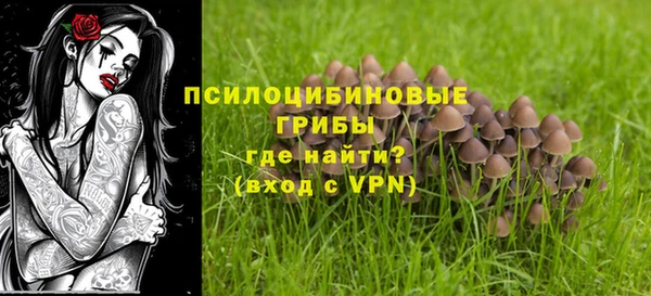синтетический гашиш Новодвинск