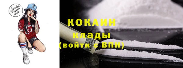 шишки Нязепетровск