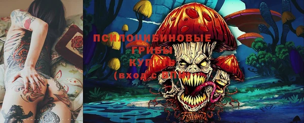 шишки Нязепетровск