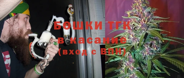 бошки Няндома