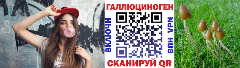 Псилоцибиновые грибы MAGIC MUSHROOMS  Купить закладки  Печоры 